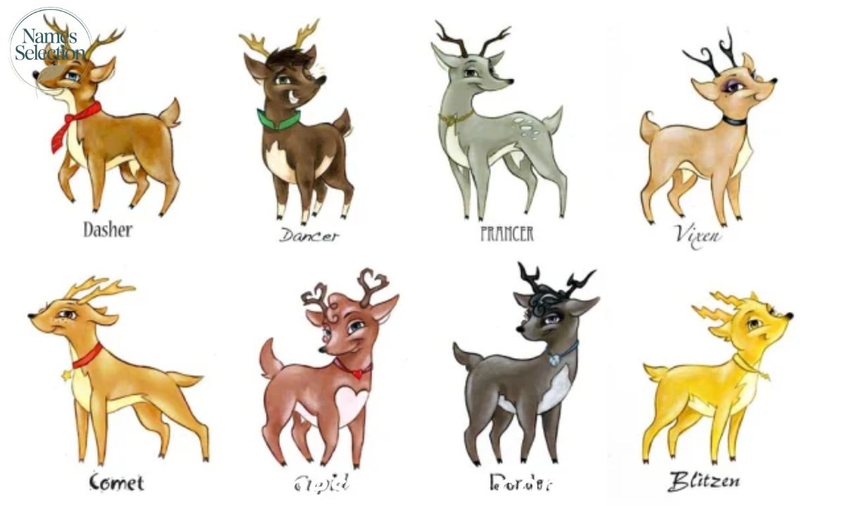 Complete Guide to Reindeer Names: 210 Magical Names for Santa's Sleigh and Beyond