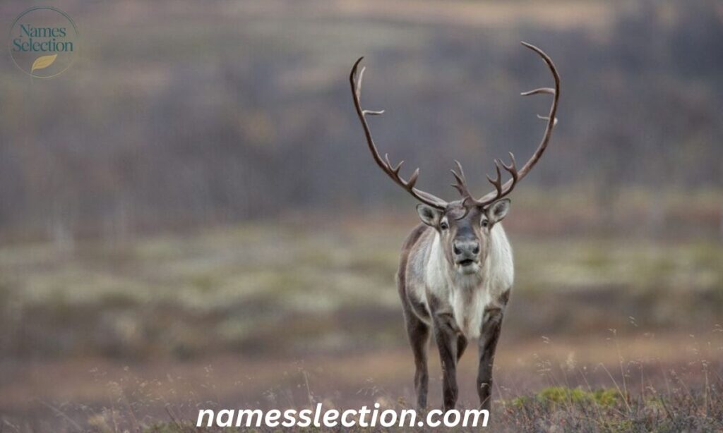 Mythical & Magical Names