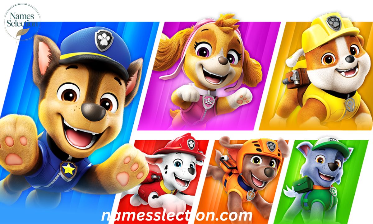 The Ultimate Guide to Paw Patrol Names: 300+ Iconic Characters, Pups, and Inspiration for Fans and Pet Parents