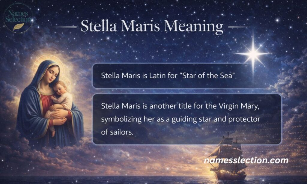 Stella Maris Meaning