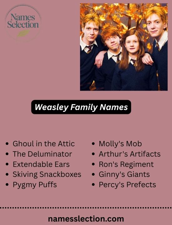 Weasley Family Names