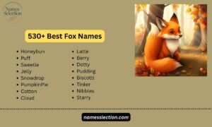 530+ Best Fox Names: Unique, Funny & Top Names for Foxes