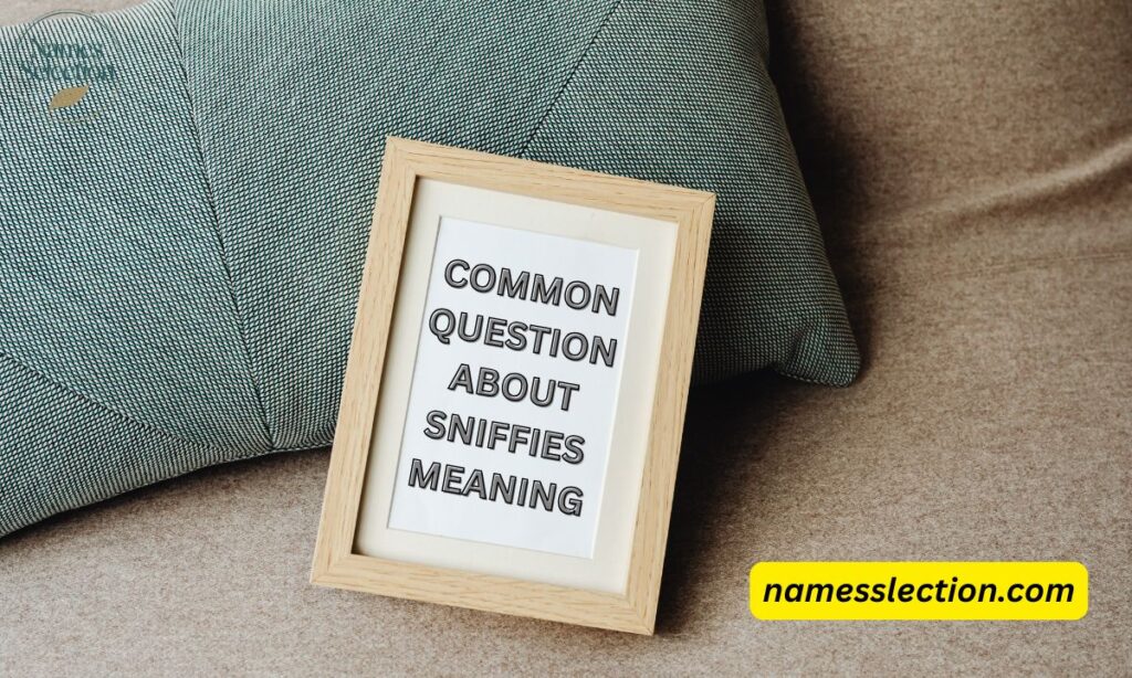 Common Questions About Sniffies Meaning