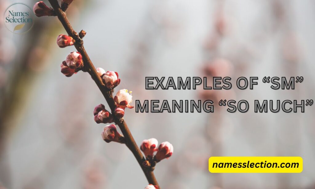 Examples of “SM” Meaning “So Much”
