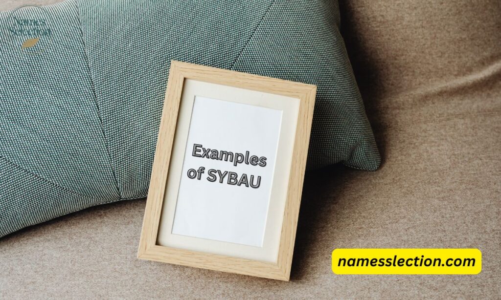 Examples of SYBAU in Sentences