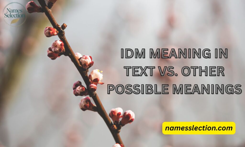IDM Meaning in Text vs. Other Possible Meanings