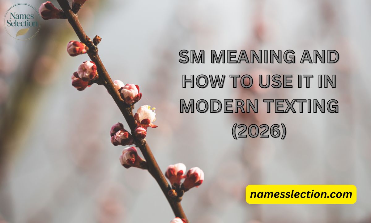 SM Meaning and How to Use It in Modern Texting (2026)