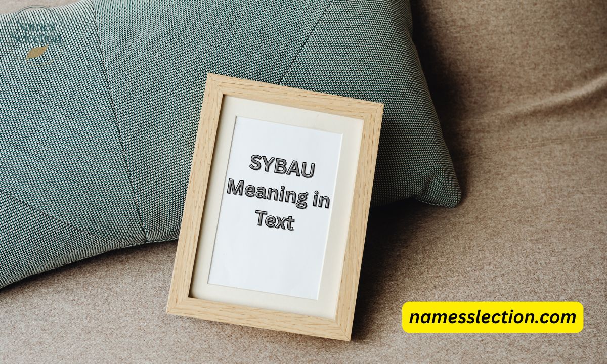 SYBAU Meaning in Text: Real Definition Explained