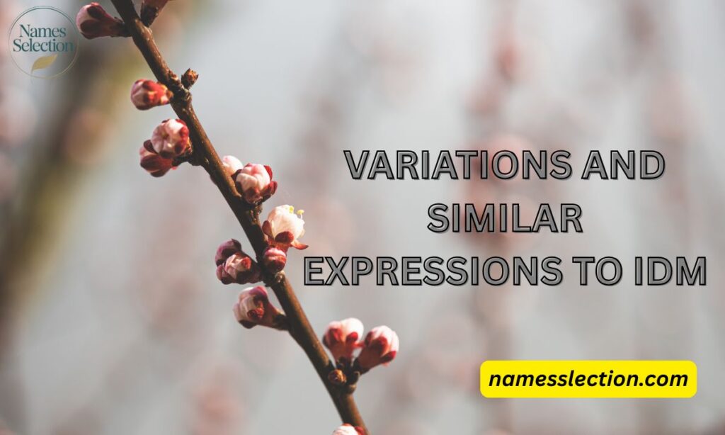 Variations and Similar Expressions to IDM