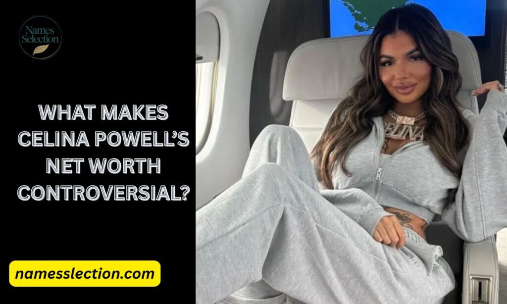 What Makes Celina Powell’s Net Worth Controversial?