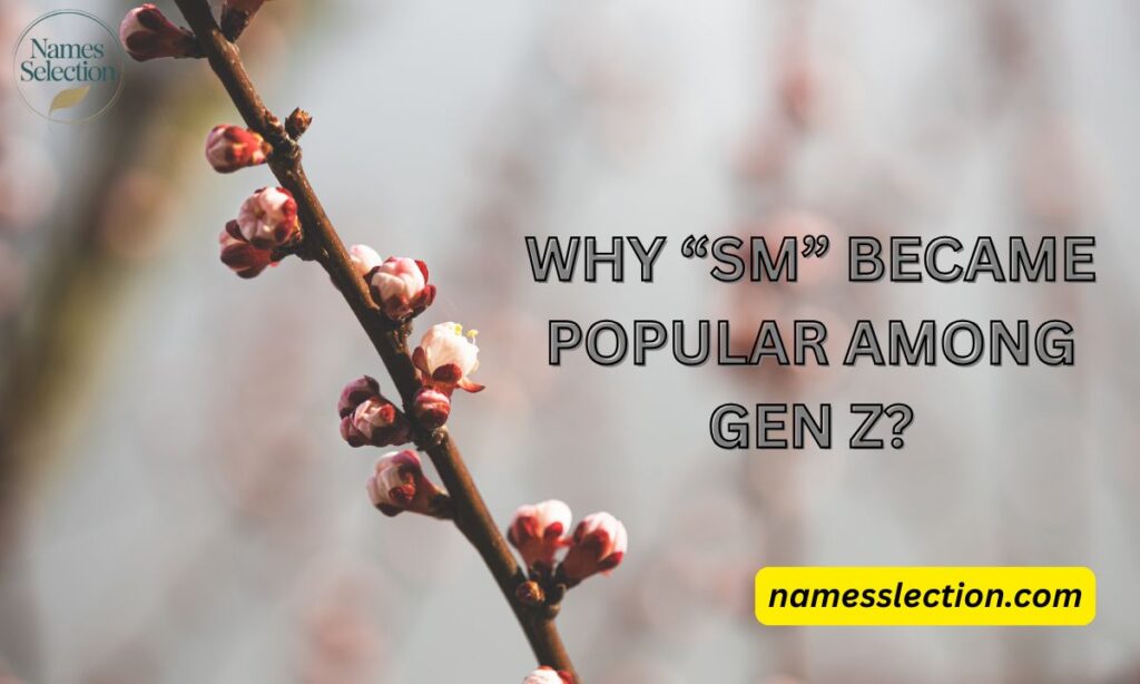 Why “SM” Became Popular Among Gen Z?