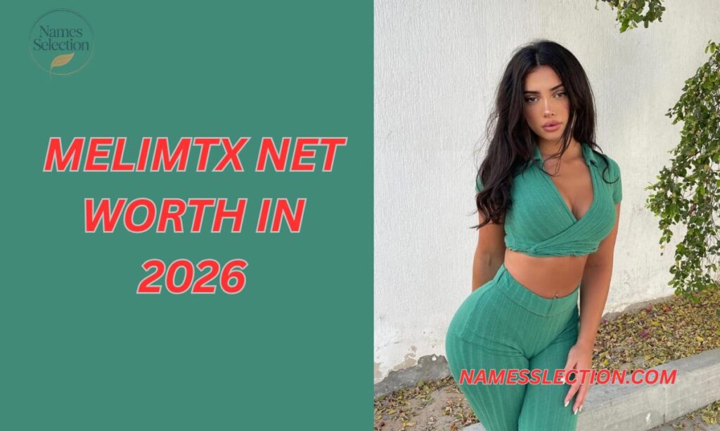 Melimtx Net Worth in 2026